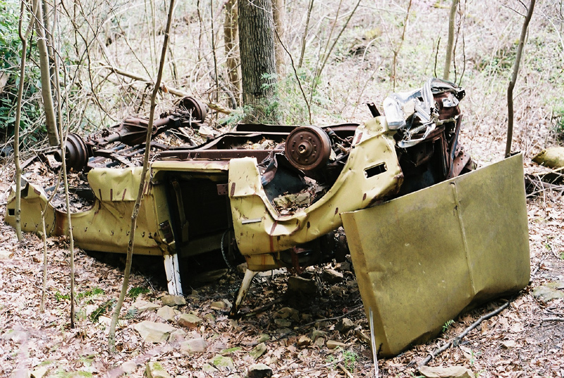 F1000015