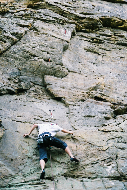 F1010024